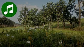 RED DEAD REDEMPTION 2 Ambient Music amp Ambience 🎵 Green Fields RDR2 Soundtrack  OST [upl. by Angadresma515]