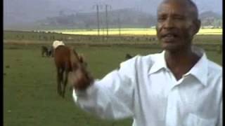 Fandishe Mullata Oromo Music  Sumaani Booya [upl. by Fife724]