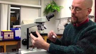 Introduction to the compound light microscope [upl. by Slavic]