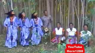 Ethiopian Traditional Music  ዋኘው አሸናፊ  እሪኩም [upl. by Hubsher]