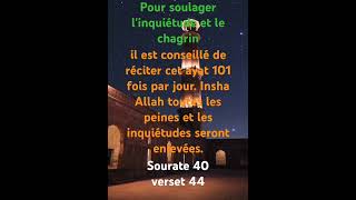 Pour soulager linquiétude et le chagrin recitation coran motivation [upl. by Medin]