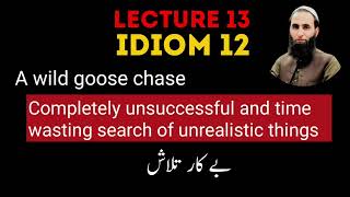 A wild goose chase  English idioms series  idiom 12 [upl. by Shields121]