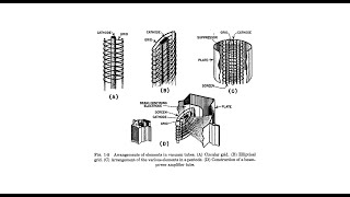 Importance of a stable regulated vacuum tube screen grid voltage in a pentode configured amplifer [upl. by Arbba227]