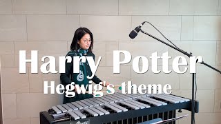 Harry Potter  Hegwids theme  Vibraphone cover [upl. by Hanyaz]