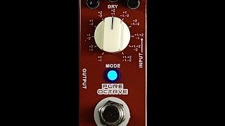 Mooer Audio Pure Octave [upl. by Monney886]