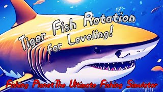 Fishing Planet  Tiger Fish Rotation for Leveling [upl. by Cynara]