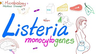 Listeria monocytogenes Characteristics  Microbiology 🧫 amp Infectious Diseases [upl. by Palmira]