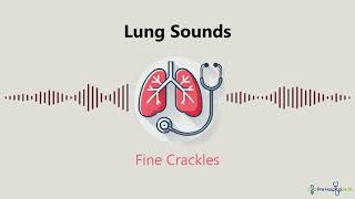 Lung Sounds Fine Crackles [upl. by Ettelrac]