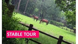 STALTOUR EN AVONDROUTINE  JILL HUIJBREGTS VLOG39 [upl. by Jobina]