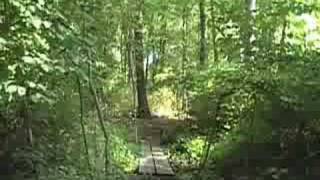 Demarest Nature Center Trestle Bridge Trail [upl. by Yejus692]