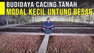 Ide Usaha Budidaya Cacing Tanah Modal Kecil Untung Besar [upl. by Laynad]