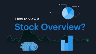 Tickertape Guide  How to see Stock Overview [upl. by Ahsram421]