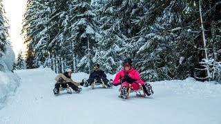 Snowtubing amp Rodeln in der Zillertal Arena [upl. by Attelra617]