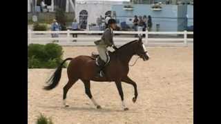 Devon Horse Show Amateur Owner Hunters Day 1 2012 [upl. by Ddal916]