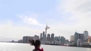 Meteor hits CN Tower Toronto [upl. by Nawotna536]