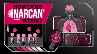 How Does NARCAN Nasal Spray Work [upl. by Ozner930]