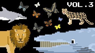 Animals Collection Volume 3  Find the Animals Whales Big Cats  The Kids Picture Show Learning [upl. by Annohsal89]