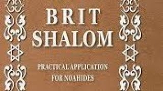 בני נח of TLC  Brit Shalom Review  Chapter 2 [upl. by Ahseekat]