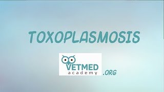 Toxoplasmosis [upl. by Lotsirk489]