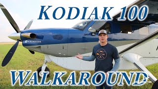 Kodiak 100 Walkaround with Mark Brown [upl. by Lenahtan668]