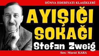 quotAyışığı Sokağıquot Stefan Zweig Dünya Edebiyatından Sesli Kitaplar [upl. by Angeline]