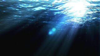 Copyright Free Underwater Background Loop  Motion Graphics Animated Background [upl. by Allrud]