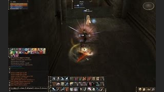 Lineage 2 Adventurer PvP [upl. by Buzz]