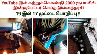 YouTube இல் கற்றுக்கொண்டு இன்குபேட்டர் செய்த இல்லத்தரசி  You can make at just 2000 rs [upl. by Nyltac]