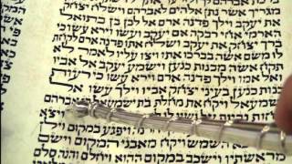 Maftir Reading Toldot Torah Rabbi Weisblum קריאת מפטיר תולדות הרב ויסבלום [upl. by Ahsoj]