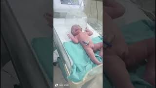 cute new born in nicu [upl. by Milano]