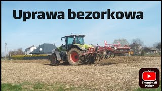 Uprawa bezorkowa po kukurydzy Claas Axion 810 z horsch w akcji 🚜 GR MACURA 🌟 [upl. by Kauffman]