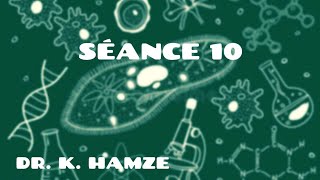 Séance 10  Dr K Hamze  Histo animale [upl. by Yonit54]