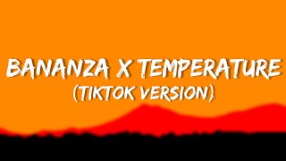 Bananza belly dancer x temperature slowedreverb — tiktok version [upl. by Mayram270]