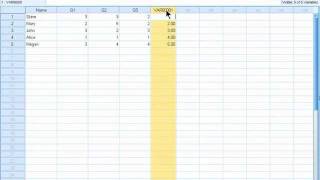 SPSS 19 Training  Editing a Variable Name [upl. by Nagear]