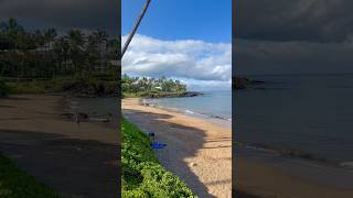 📍Ulua Beach 🏝️ Maui Hawaii 🌺 beachwalker [upl. by Gram681]