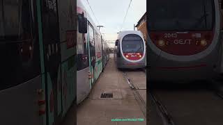 Tram Firenze  Straßenbahn in Florenz  Italien 2023  shorts [upl. by Korb138]