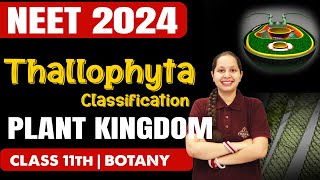 THALLOPHYTA Classification  Plant Kingdom  Botany  NEET 2024  Class 11th Biology neet2024 [upl. by Schiro]