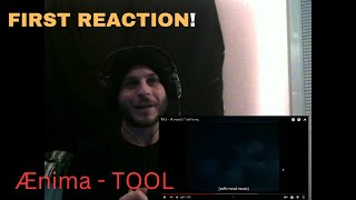 First Time Listening to Tool Tool  Aenima Reaction [upl. by Yniattirb245]