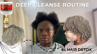 Transforming My 4c Low Porosity Natural Hair With Aztec Clay Mask The Gamechanging Routine [upl. by Arised246]