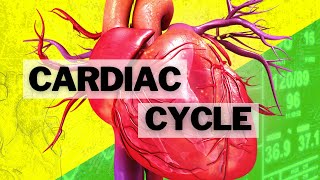 The Cardiac Cycle [upl. by Airak172]