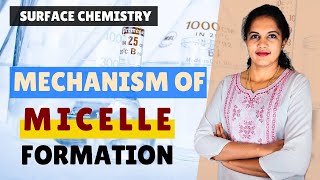 SURFACE CHEMISTRY PART 14 MECHANISM OF MICELLE FORMATION NCERT CLASS 12  FOR GRADUATES  LIGHT UP [upl. by O'Toole]