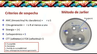 quotMétodos para la identificación de la Resistencia bacteriana con base a los Criterios del CLSIquot [upl. by Meagan]