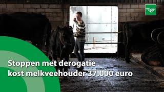 Stoppen met derogatie kost melkveehouder 37000 euro [upl. by Holtz171]