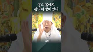 콩의 몸에도 광명의 빛이 들어 있다 용화미륵부처님 법문 164부숕 용화미륵부처님 koreanbuddhism 인생조언 [upl. by Centeno]