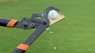 Cutting Open Titleist Balata  Bobby Jones Links [upl. by Oralle]