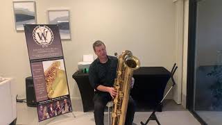 Compact Contrabass Saxophone Low A  J’ Elle Stainer [upl. by Sirovart]