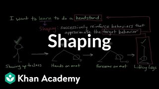 Operant conditioning Shaping  Behavior  MCAT  Khan Academy [upl. by Mendelson496]