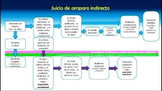 Procedimiento del juicio de amparo indirecto [upl. by Northrup133]