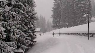 Bloccati dalla Neve a Cortina [upl. by Boorman]