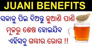 ଜୁଆଣି ର ୧୦ ଟି ଔଷଧୀୟ ଗୁଣ  Juani ra upakarita  Juani benefits  Ajwain Odia  ODIA HEALTH TIPS [upl. by Llekcor593]